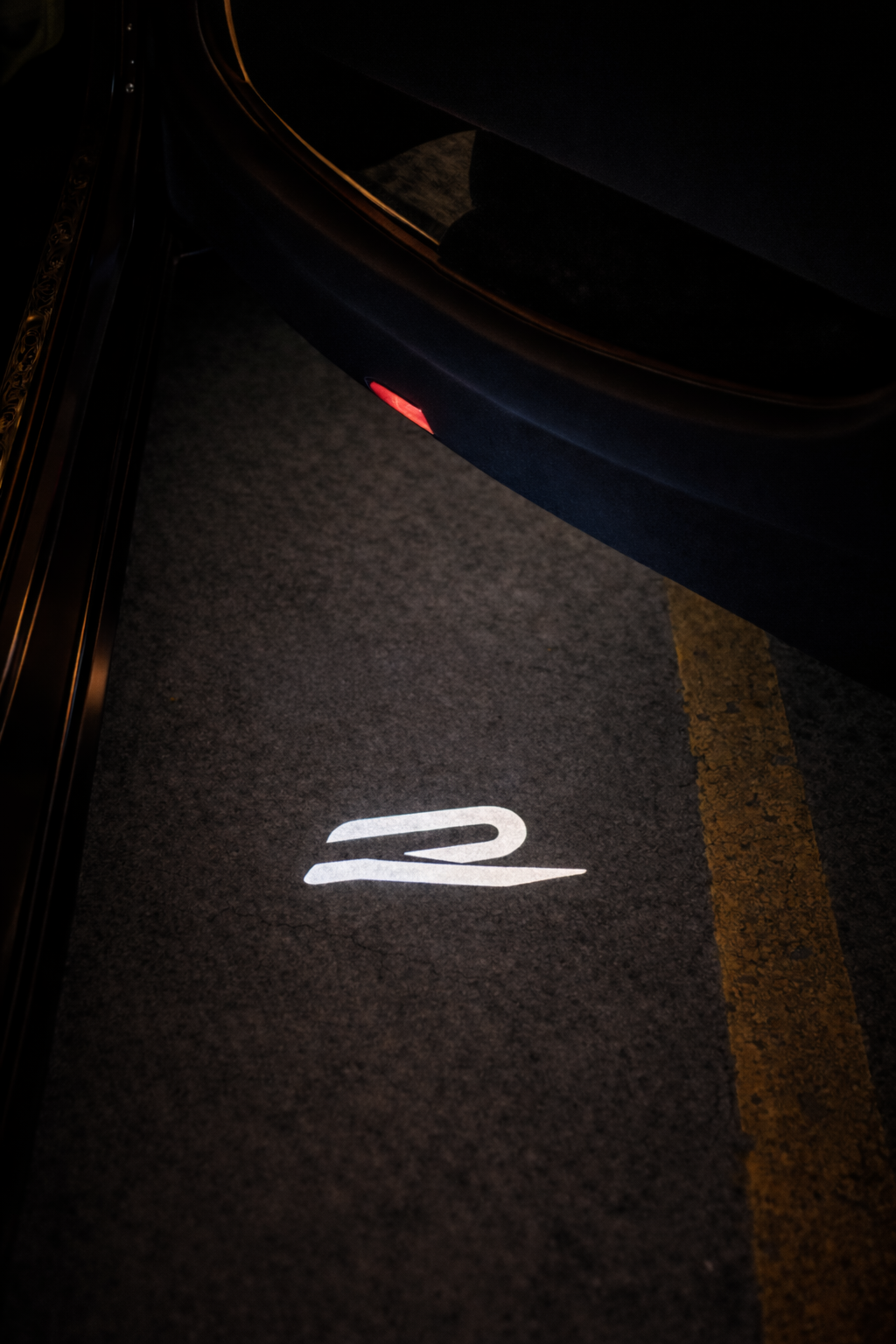 2x LED door projectors compatible with VW NEW R (PLUG&PLAY)