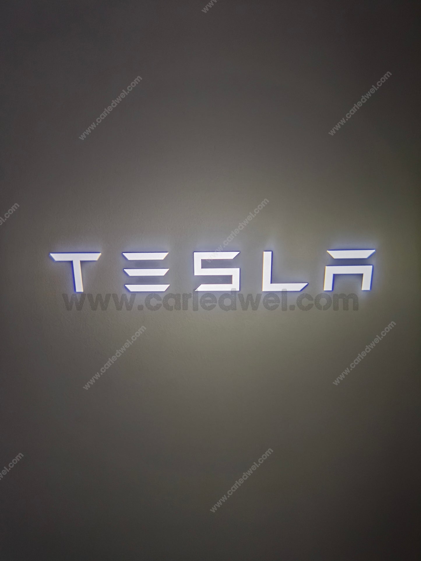 2x Projecteurs de porte Led compatible pour Tesla (PLUG&PLAY)