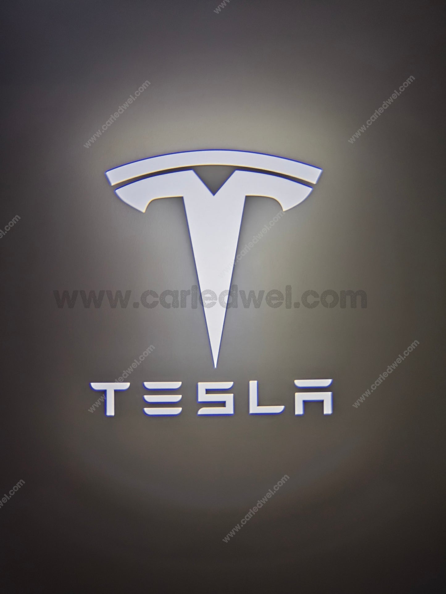 2x Projecteurs de porte Led compatible pour Tesla (PLUG&PLAY)
