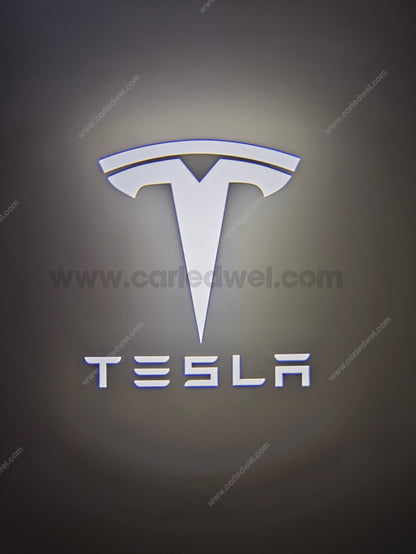 2x Projecteurs de porte Led compatible pour Tesla (PLUG&PLAY)